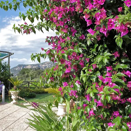 Flore Villa Colli di Fontanelle